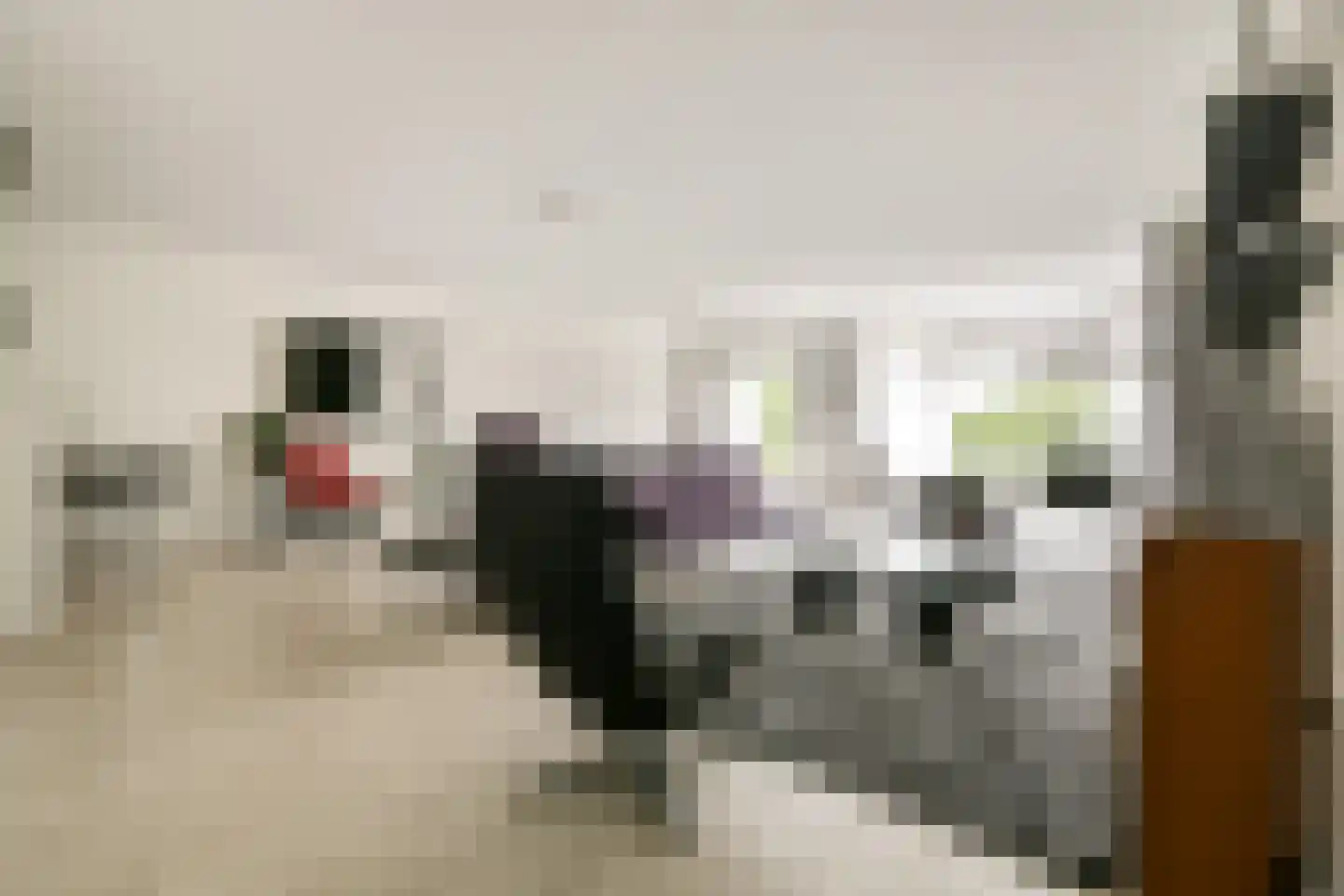 Francijntje de Kadtlaan 136 Vlaardingen thumbnail 12