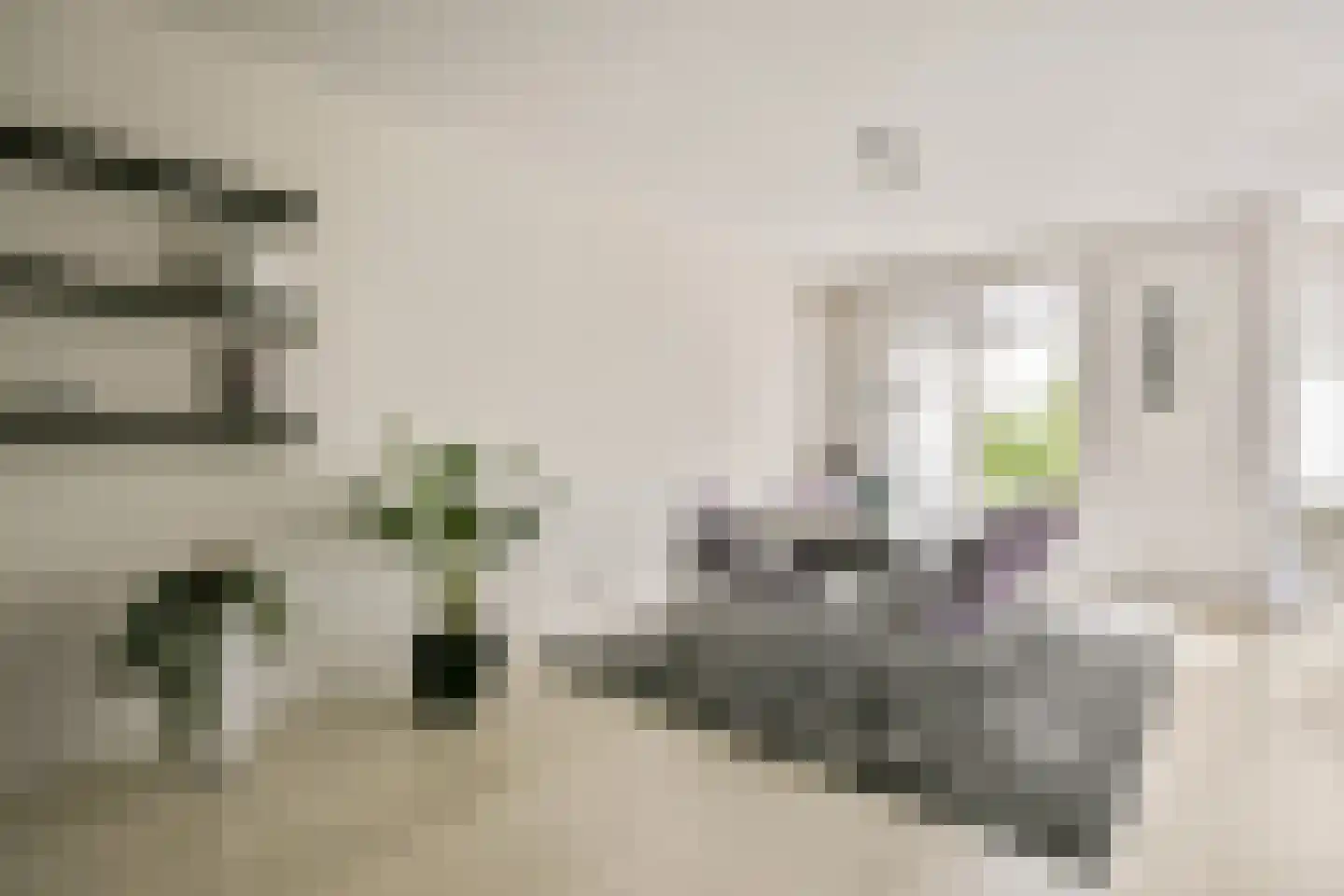 Francijntje de Kadtlaan 136 Vlaardingen thumbnail 13