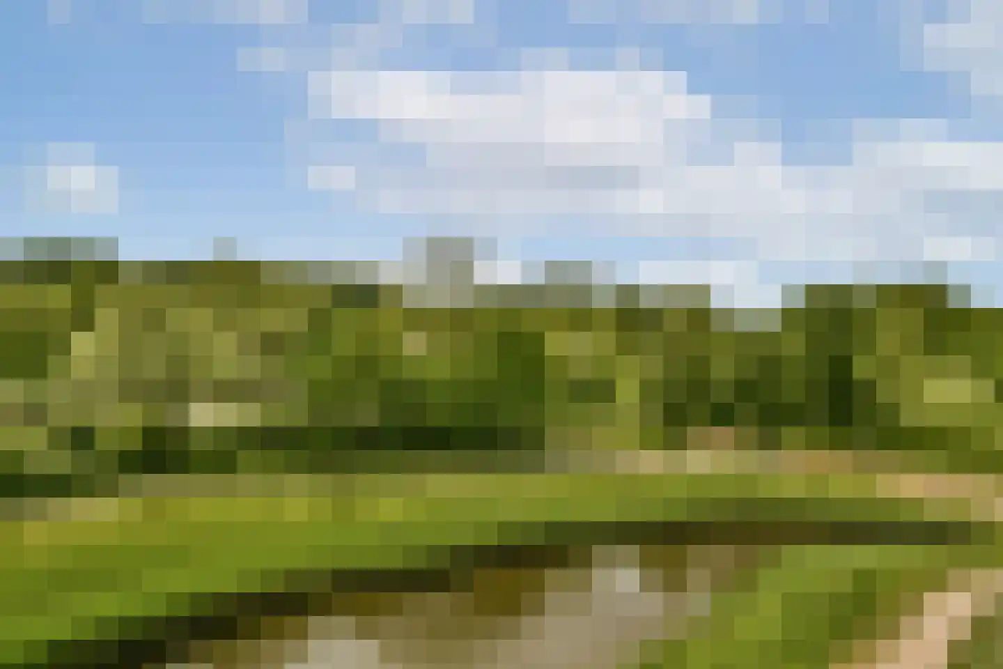 Francijntje de Kadtlaan 136 Vlaardingen thumbnail 15