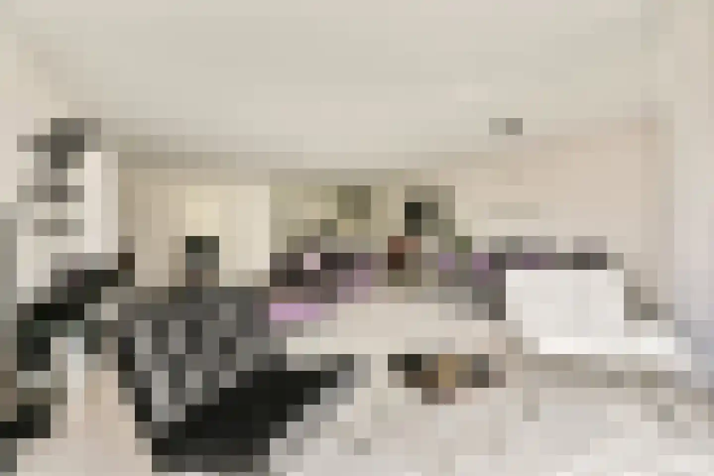 Francijntje de Kadtlaan 136 Vlaardingen thumbnail 18