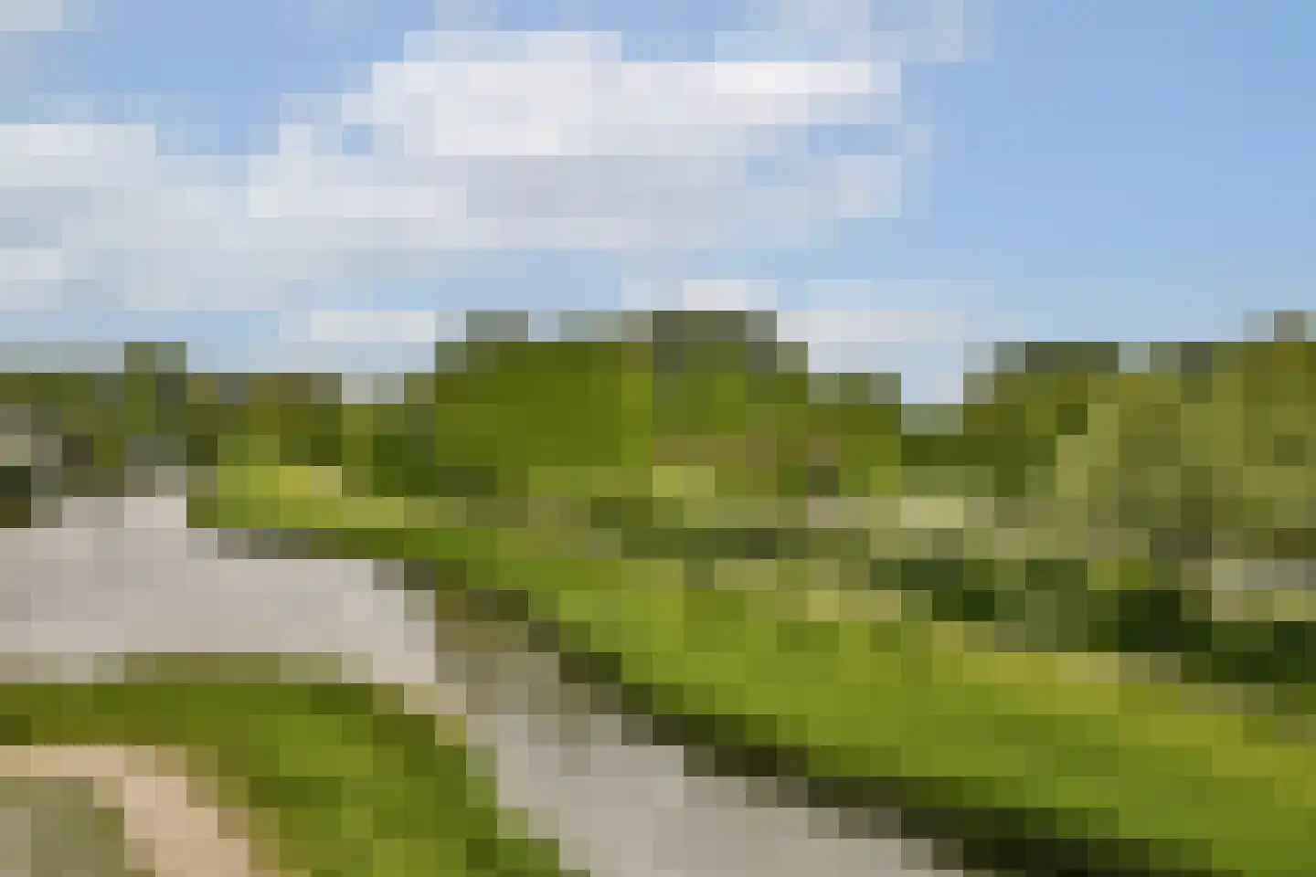 Francijntje de Kadtlaan 136 Vlaardingen thumbnail 23