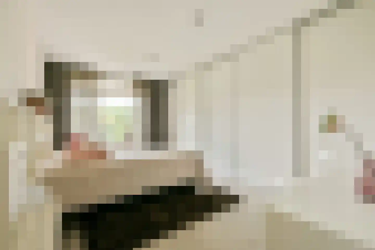 Francijntje de Kadtlaan 136 Vlaardingen thumbnail 24