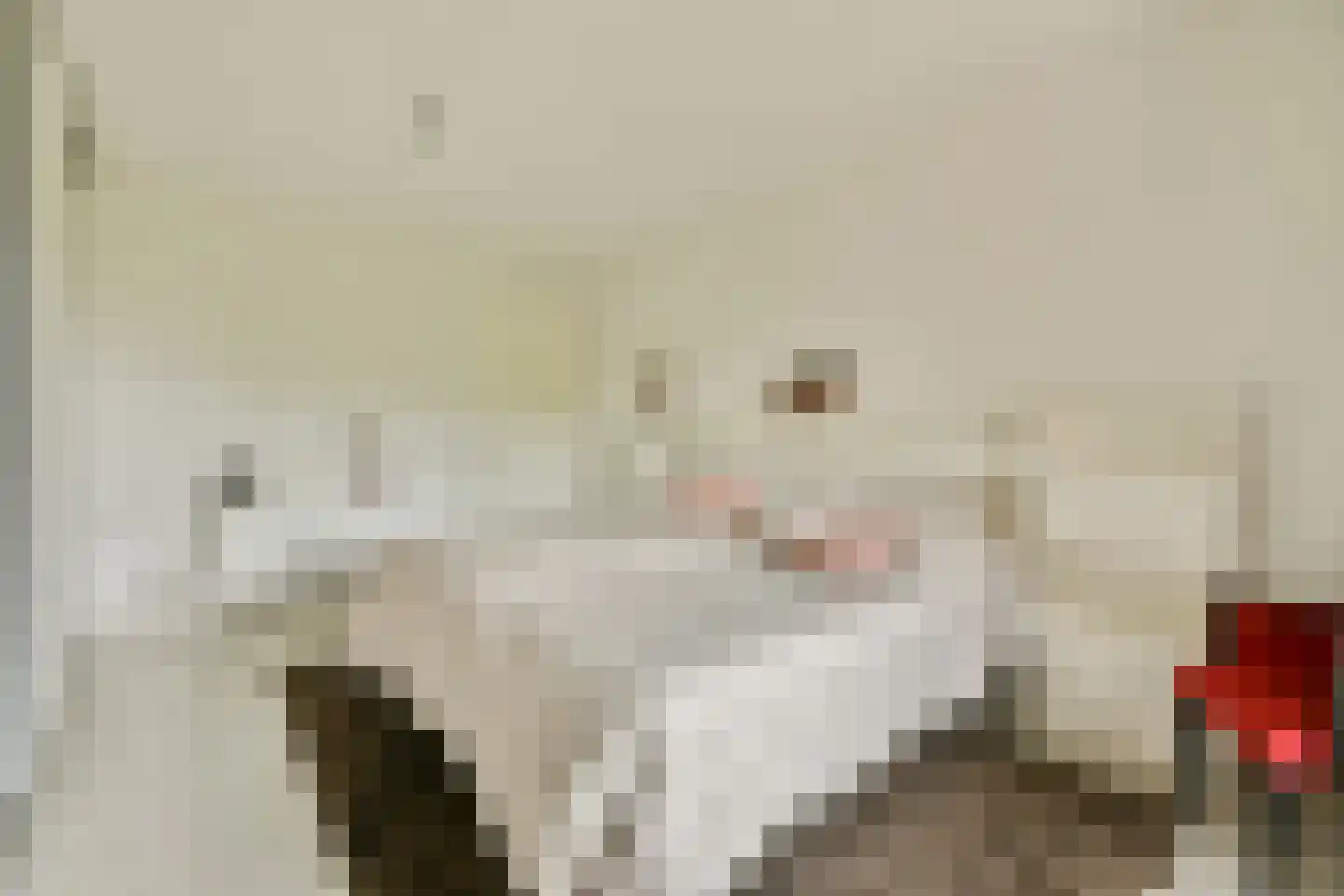 Francijntje de Kadtlaan 136 Vlaardingen thumbnail 25