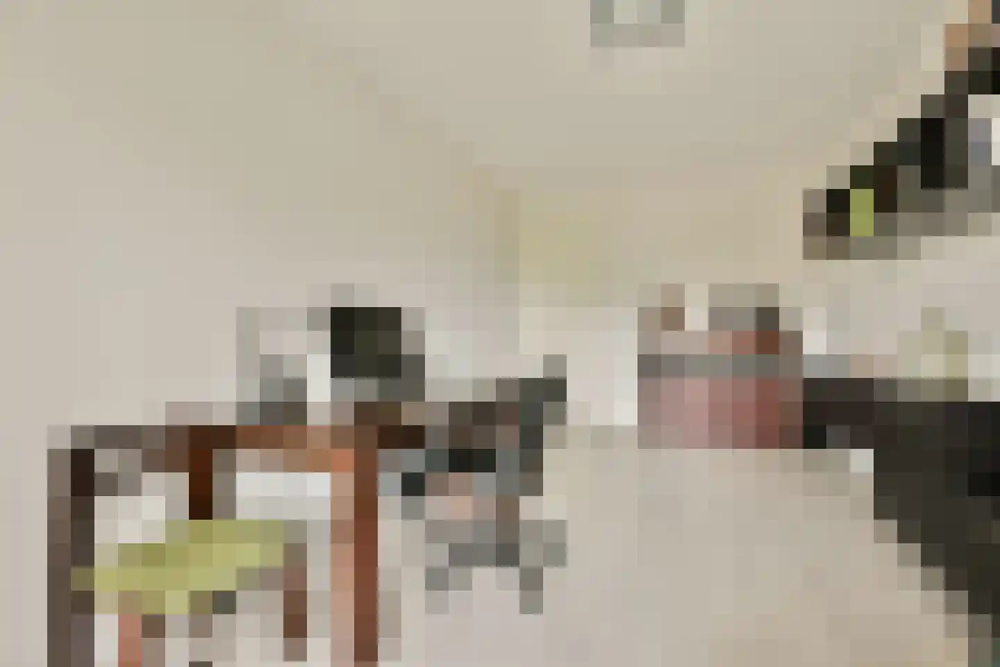 Francijntje de Kadtlaan 136 Vlaardingen thumbnail 30