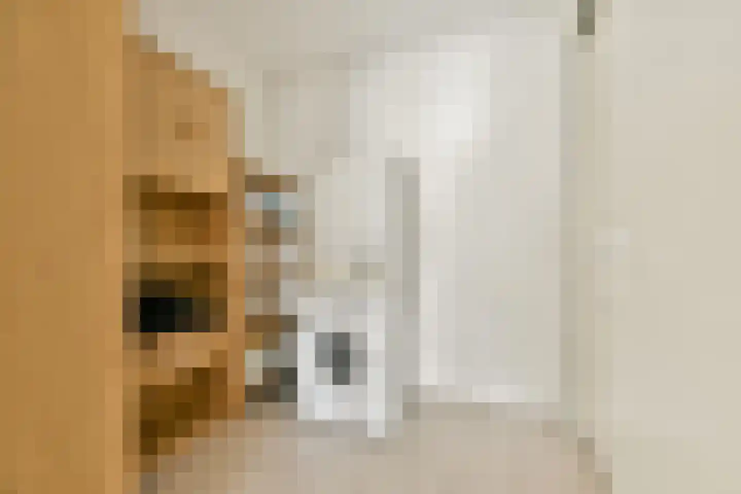 Francijntje de Kadtlaan 136 Vlaardingen thumbnail 31