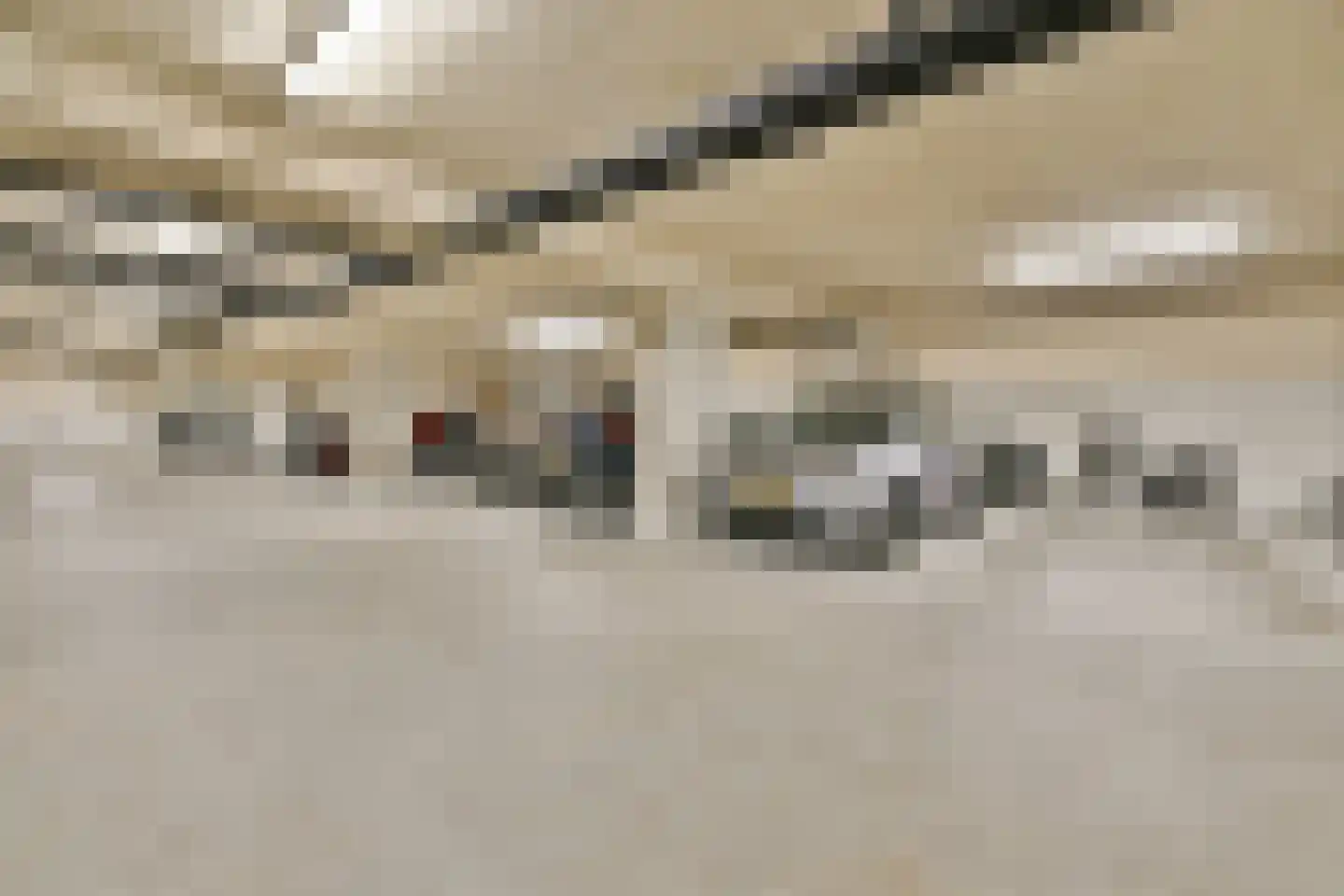 Francijntje de Kadtlaan 136 Vlaardingen thumbnail 32