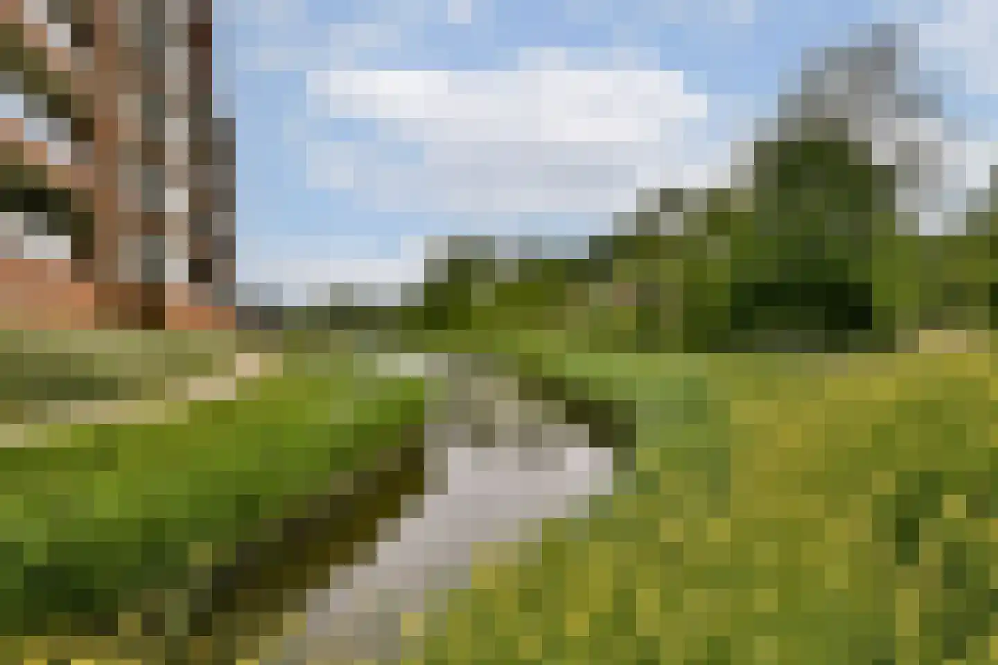Francijntje de Kadtlaan 136 Vlaardingen thumbnail 34