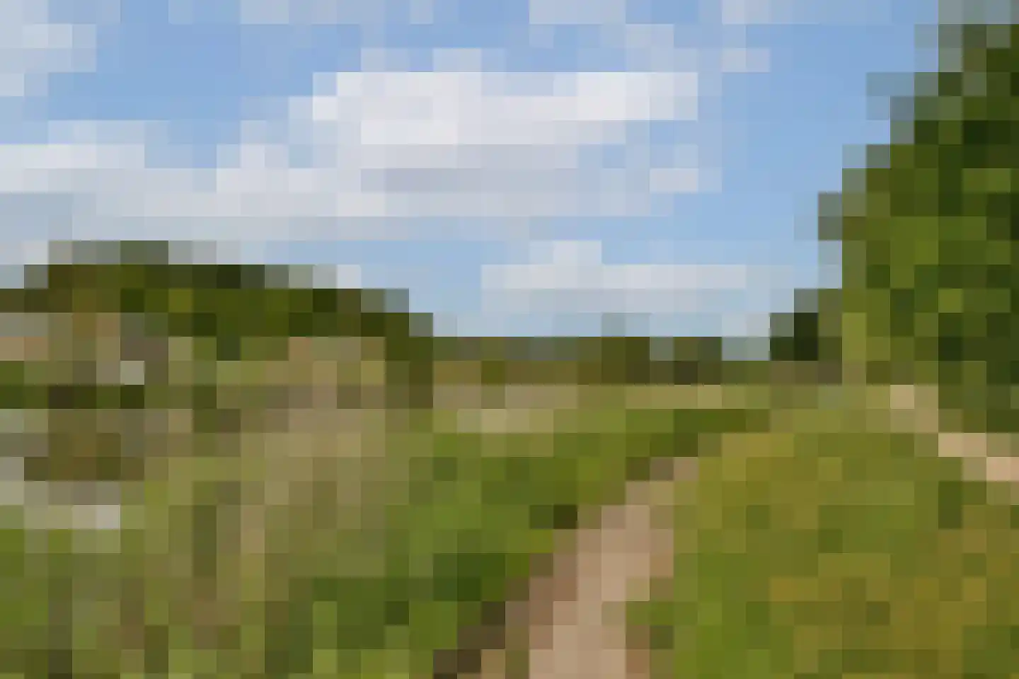 Francijntje de Kadtlaan 136 Vlaardingen thumbnail 37