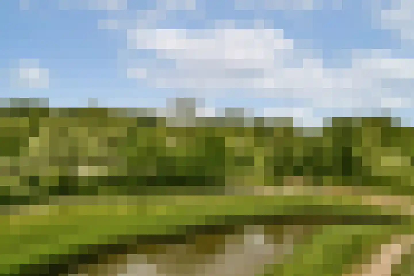 Francijntje de Kadtlaan 136 Vlaardingen thumbnail 5