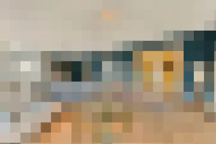 Francijntje de Kadtlaan 146 Vlaardingen thumbnail 11
