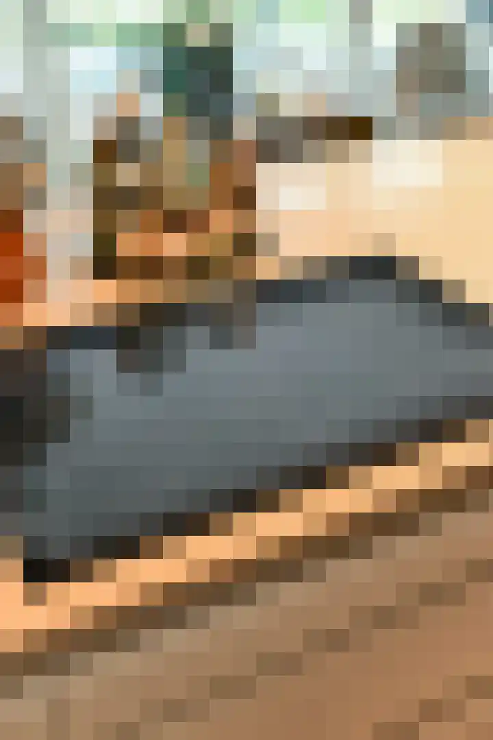 Francijntje de Kadtlaan 146 Vlaardingen thumbnail 21