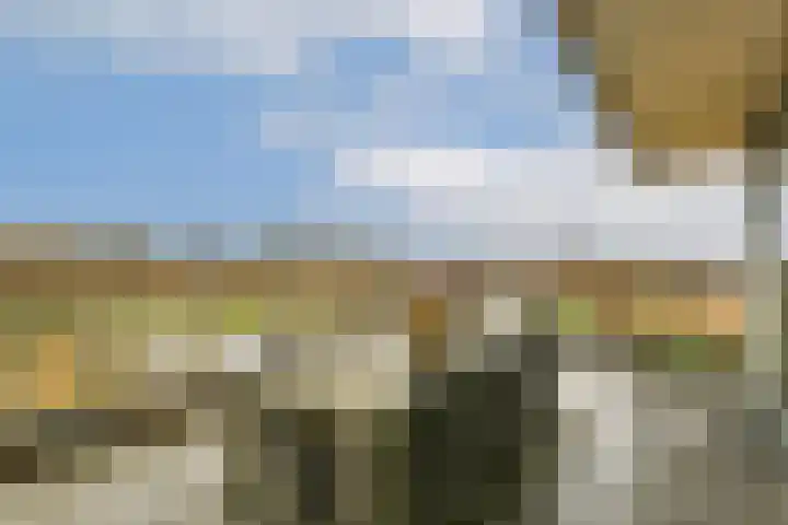 Francijntje de Kadtlaan 146 Vlaardingen thumbnail 23