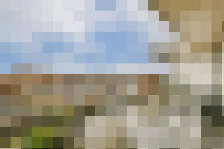 Francijntje de Kadtlaan 146 Vlaardingen thumbnail 25