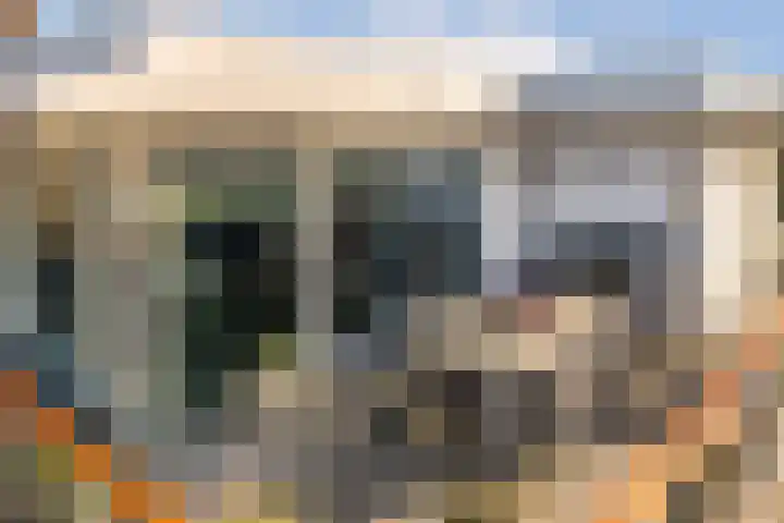 Francijntje de Kadtlaan 146 Vlaardingen thumbnail 27