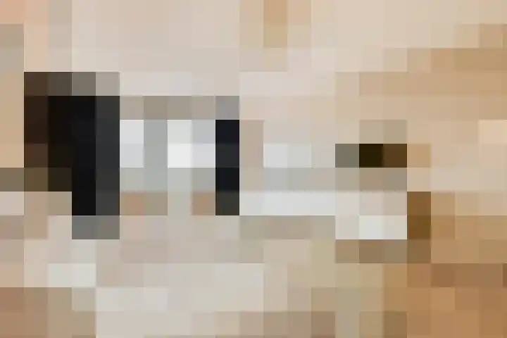 Francijntje de Kadtlaan 146 Vlaardingen thumbnail 30