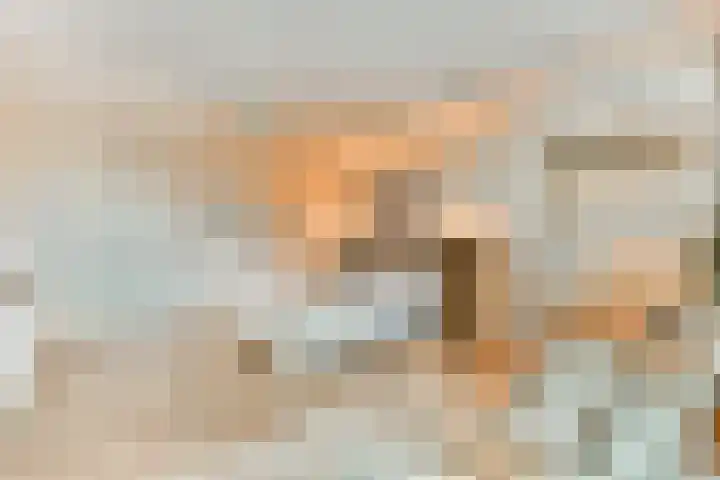 Francijntje de Kadtlaan 146 Vlaardingen thumbnail 31