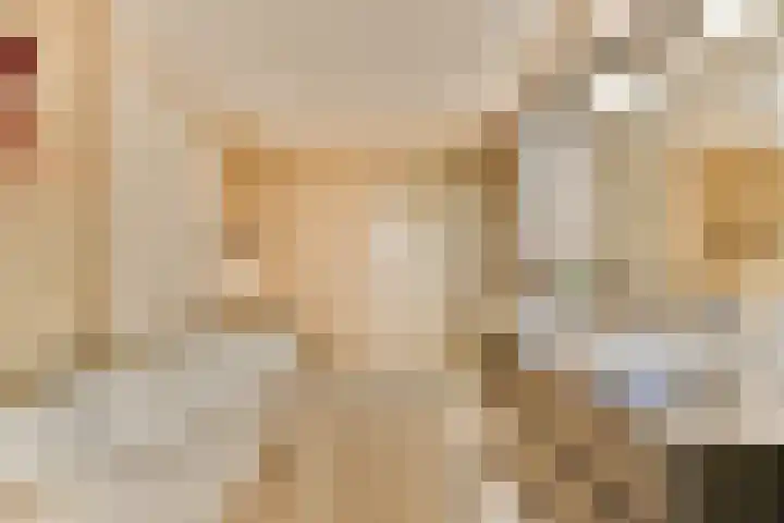 Francijntje de Kadtlaan 146 Vlaardingen thumbnail 35