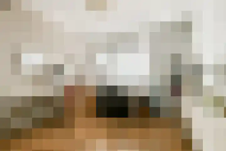 Francijntje de Kadtlaan 146 Vlaardingen thumbnail 37