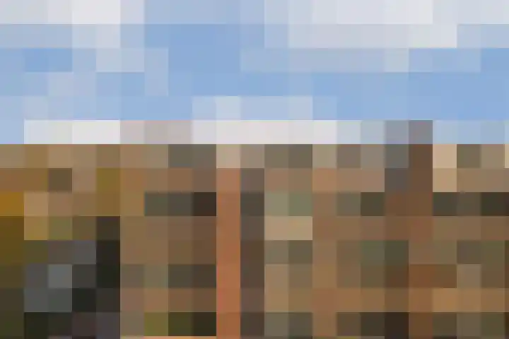 Francijntje de Kadtlaan 146 Vlaardingen thumbnail 4