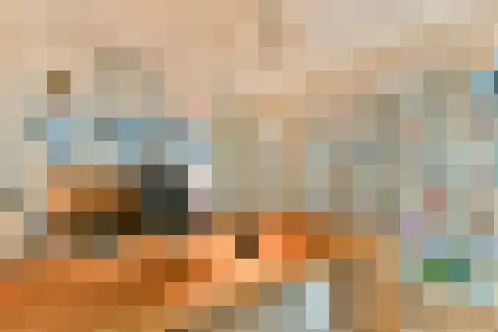 Francijntje de Kadtlaan 146 Vlaardingen thumbnail 41