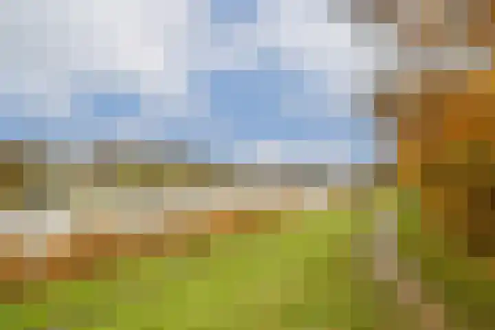 Francijntje de Kadtlaan 146 Vlaardingen thumbnail 43
