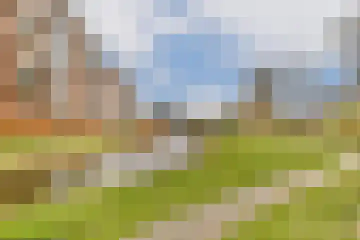 Francijntje de Kadtlaan 146 Vlaardingen thumbnail 44