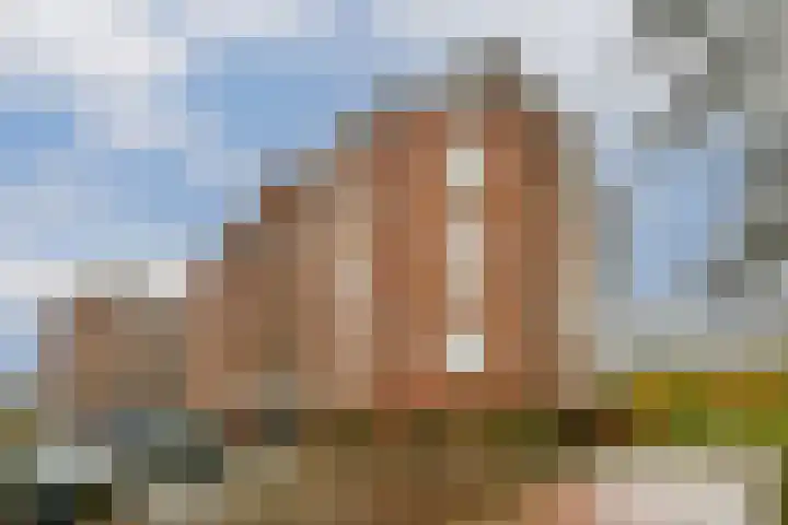 Francijntje de Kadtlaan 146 Vlaardingen thumbnail 45