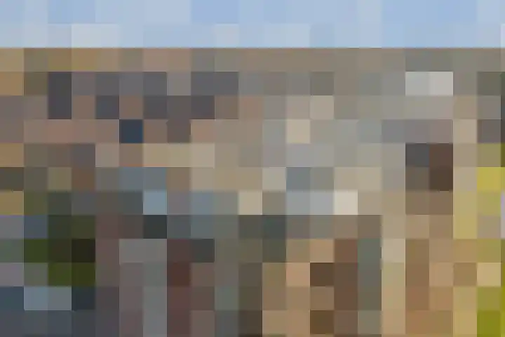 Francijntje de Kadtlaan 146 Vlaardingen thumbnail 48