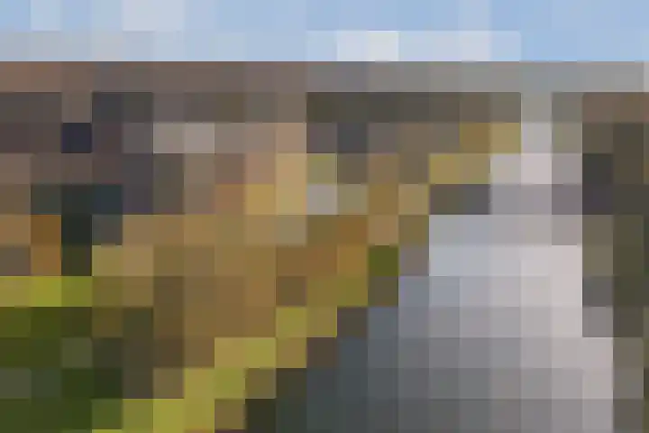 Francijntje de Kadtlaan 146 Vlaardingen thumbnail 49