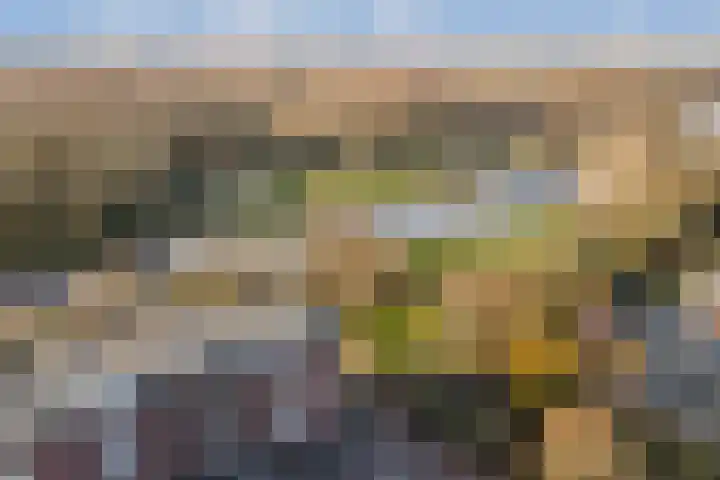 Francijntje de Kadtlaan 146 Vlaardingen thumbnail 51