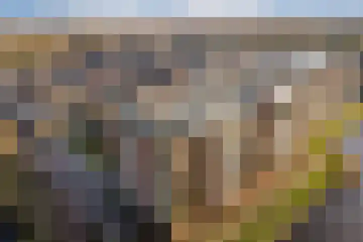 Francijntje de Kadtlaan 146 Vlaardingen thumbnail 52
