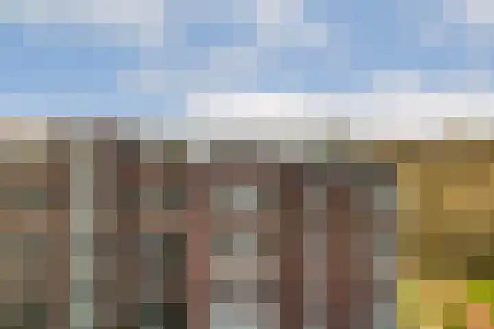 Francijntje de Kadtlaan 146 Vlaardingen thumbnail 53