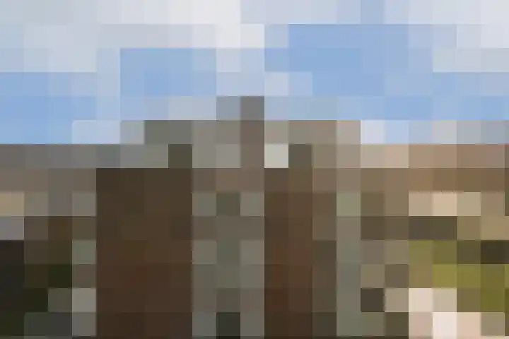 Francijntje de Kadtlaan 146 Vlaardingen thumbnail 54