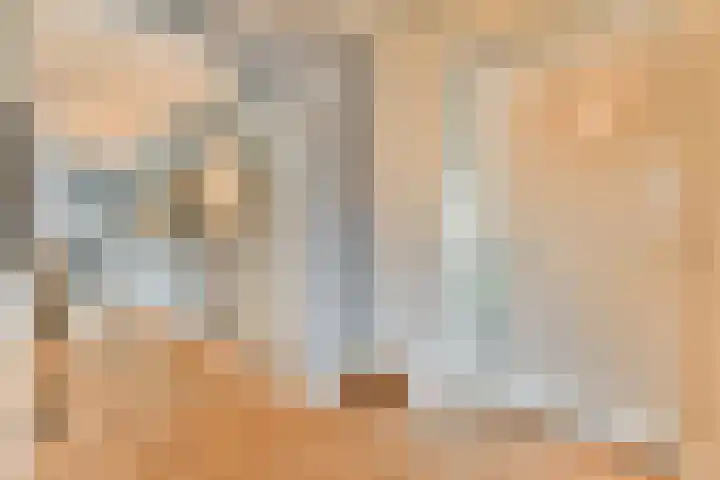 Francijntje de Kadtlaan 146 Vlaardingen thumbnail 8