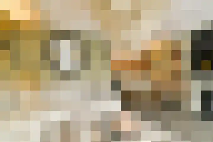 Francijntje de Kadtlaan 3 Vlaardingen thumbnail 10