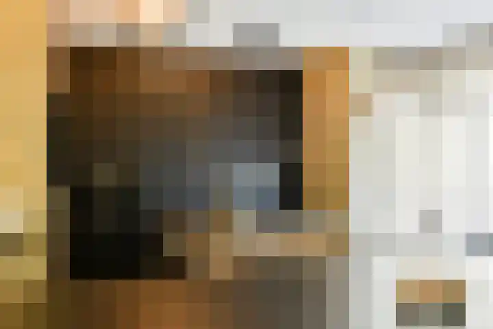 Francijntje de Kadtlaan 3 Vlaardingen thumbnail 14