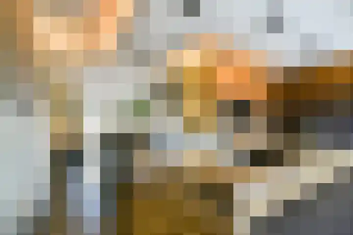 Francijntje de Kadtlaan 3 Vlaardingen thumbnail 15