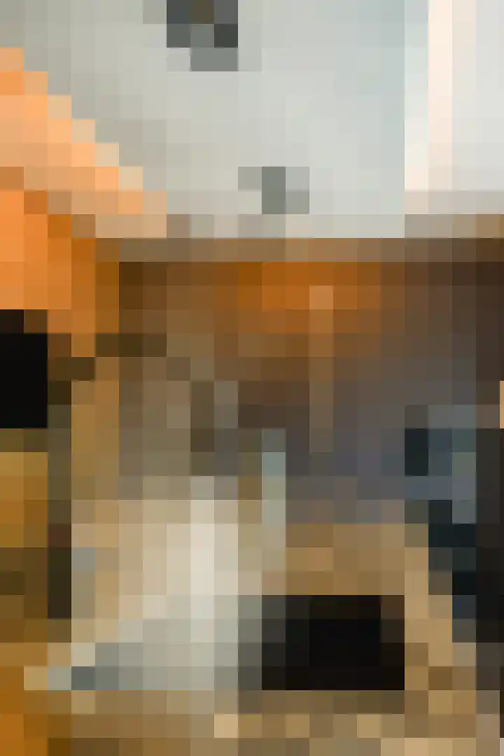 Francijntje de Kadtlaan 3 Vlaardingen thumbnail 17