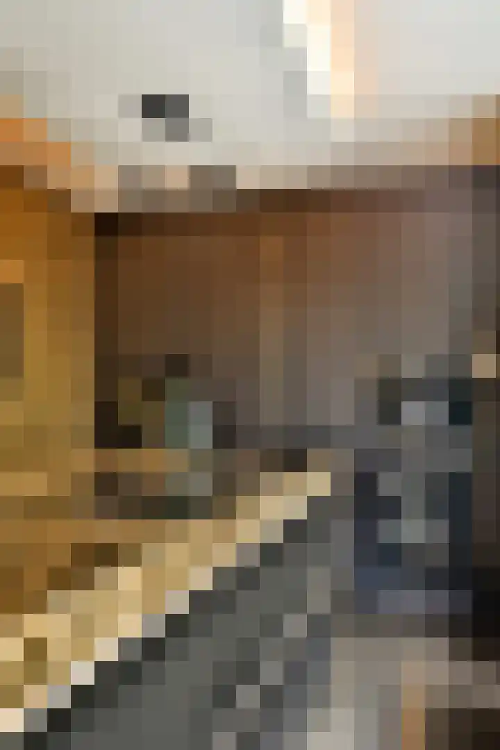 Francijntje de Kadtlaan 3 Vlaardingen thumbnail 18