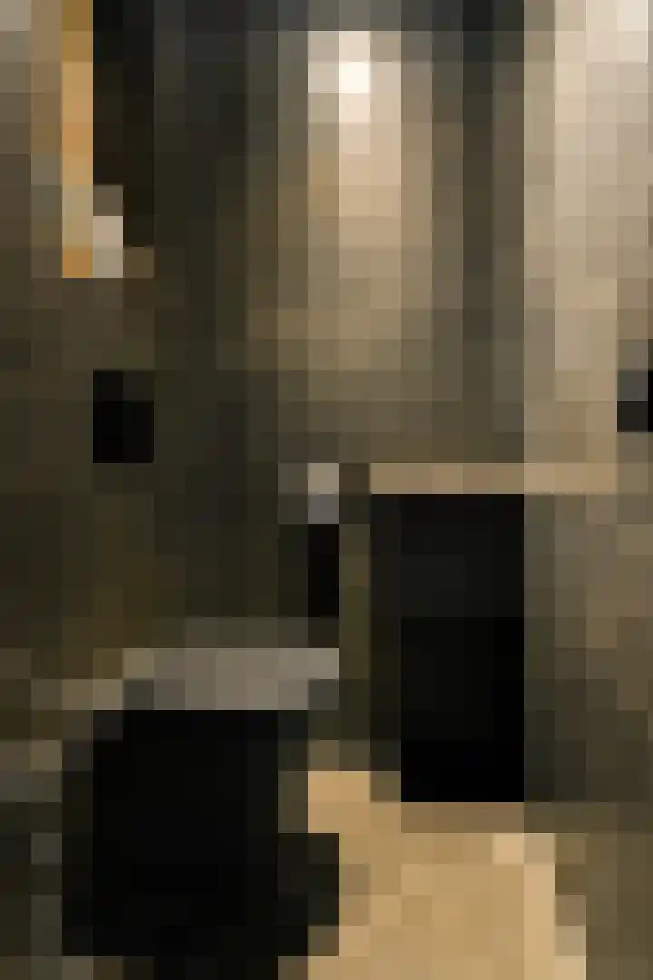Francijntje de Kadtlaan 3 Vlaardingen thumbnail 27