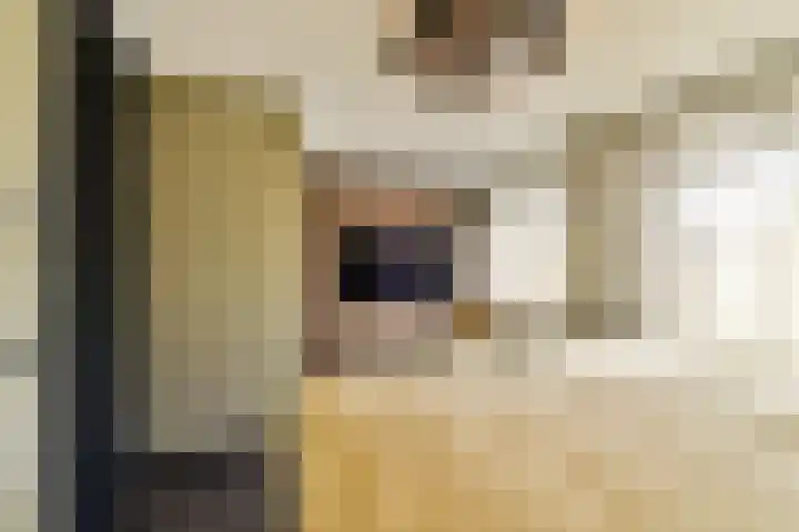 Francijntje de Kadtlaan 3 Vlaardingen thumbnail 31