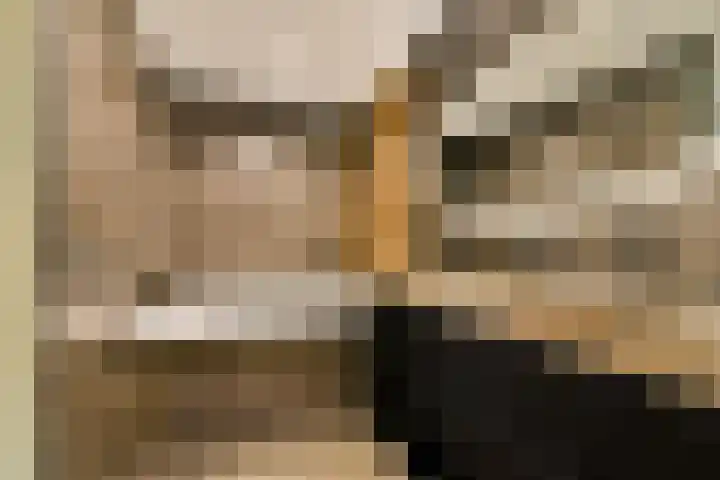 Francijntje de Kadtlaan 3 Vlaardingen thumbnail 33