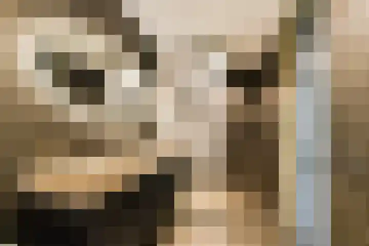 Francijntje de Kadtlaan 3 Vlaardingen thumbnail 34