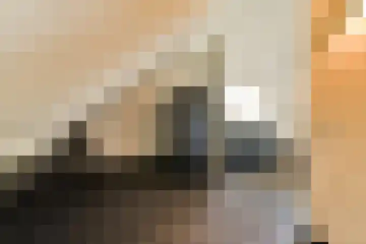Francijntje de Kadtlaan 3 Vlaardingen thumbnail 38