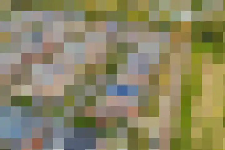 Francijntje de Kadtlaan 3 Vlaardingen thumbnail 41
