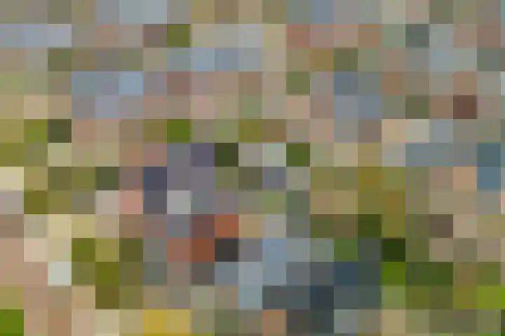 Francijntje de Kadtlaan 3 Vlaardingen thumbnail 42