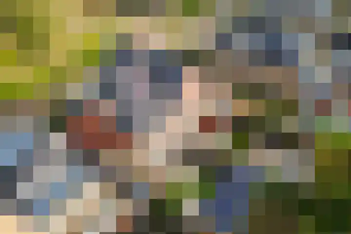 Francijntje de Kadtlaan 3 Vlaardingen thumbnail 44