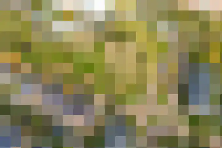 Francijntje de Kadtlaan 3 Vlaardingen thumbnail 46