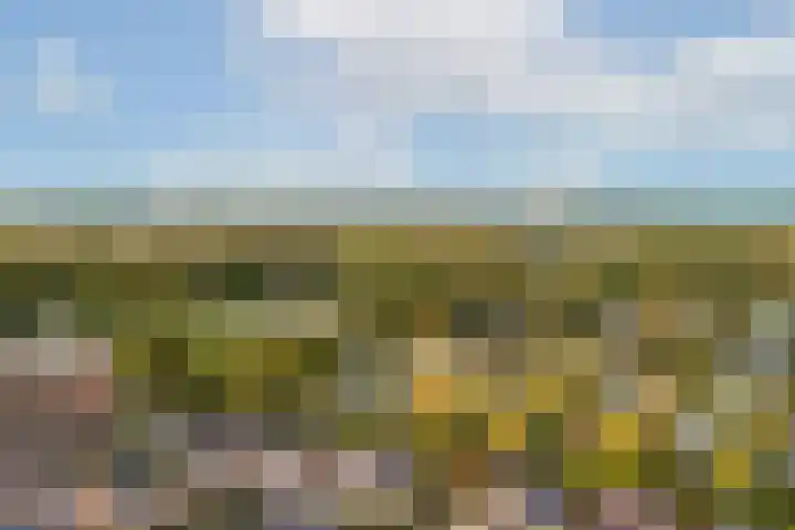 Francijntje de Kadtlaan 3 Vlaardingen thumbnail 47