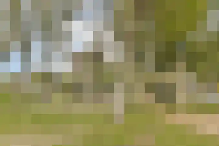 Francijntje de Kadtlaan 3 Vlaardingen thumbnail 48